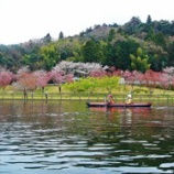 �غ������������ָ��ĥ���ͽ�������٤β���