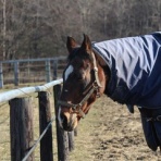 グランデラバーの会