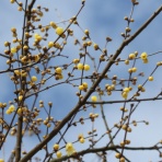 田所大介の富山なんでも食遊記