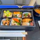 Senior夫婦が行くスタアラ世界一周５４日間　番外編　石垣島往復　プラチナステータス取得修行その２