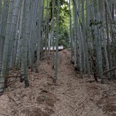 開さん（愛媛県今治市）