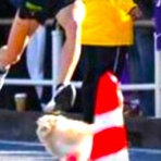 きままニュース