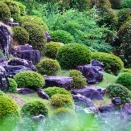 庭園