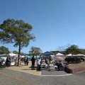 *3月8日（日）最終回 出店予定者*