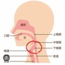 鼻からカメラを入れられて。の事。