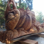 団塊おじさん自転車日和