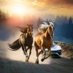 Turbo Bee - 自動車・バイク動画のターボビー