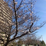 KARKARの「とりあえず走っとく？」