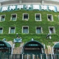 【悲報】今年の夏の甲子園がつまらない理由wwwwwwwwwwwwwwwwwwwwwwww