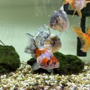 嫌ぁぁぁ！！やめてぇぇぇ！！！