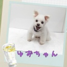 ＪＡＭにご来店♪