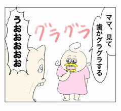 遂に永久歯が生えてきたコチコー