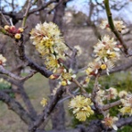 昼喰らいまぁ〜♪