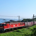 信越本線（青海川－鯨波）撮影記（2026.6.13）