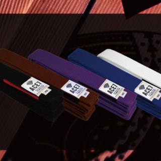 ブルテリアブログ