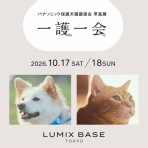 GUNDOG RESCUE CACI 活動ブログ