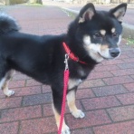 churahamaのブログ