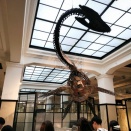 東京見物その2　浅草寺や上野動物園など