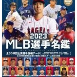 『先発目減り　タンパベイレイズ投手陣』の画像