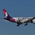 Ａ３３０、ハワイアン航空の柄物