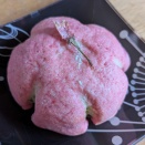 【4月第2週目】のお知らせ。