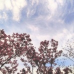 ＝佐藤太の監督雑記＝