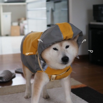 極寒のひな祭り