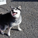 観音裏黄昏備忘録