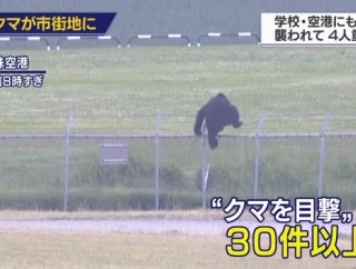【画像】クマ、有刺鉄線さえ越えてしまうｗｗｗｗｗｗｗｗｗｗｗｗｗｗｗｗｗｗｗｗｗｗ