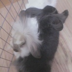 ぐっちゃんのまいにち♡ときどきくーちゃん♬