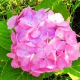 『国債バブル危機(5450回記念)(9)』の画像