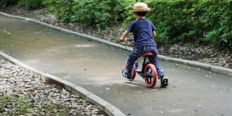 息子（4歳）がストライダーで公園に行きたがる。俺が止めると嫁が切れるんだが…