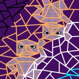 『白ラインに変化は？』の画像