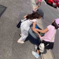 NPO法人かたひらかたろう　今週のお知らせ