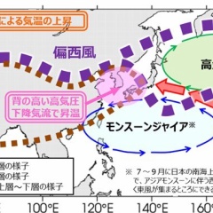 今夏、世界で豪雨や熱波の「極端気象」進む地球温暖化！