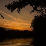 『浮気する男性心理の謎を解く　～社会的報酬～』の画像