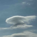 ウォーキング途中の風景！