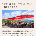 アボちゃんのアボカドブログ