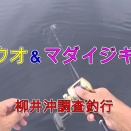 ブリスフィッシングチャンネル更新しました。