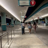 『【WDW】４DAYS①　エプコット、フラワーガーデン　家族5人旅行【ディズニー】』の画像