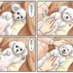 Dr.きょうのぼちぼちブログ