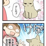 わかりやすくてわかりにくい訴えかた