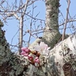 みーちゃんＨＯＵＳＥ