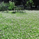 現代住宅植栽考・改訂版　第58回