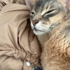 おじさんの休日的な…