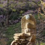 気ままなカメラアイ。