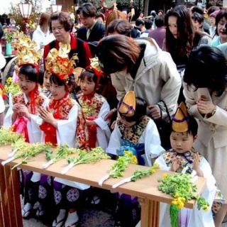 万葉歳時記 一日一葉