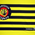 【悲報】佐藤輝明メジャー流出後の阪神タイガース打線をAIに聞いてみた結果ｗｗｗ