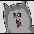 猫にもフレネミーいたわ