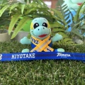 明日は湘南ベルマーレ戦🐢
